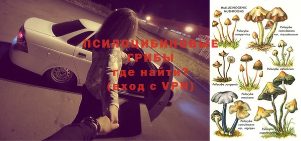 эйфоретик Абинск